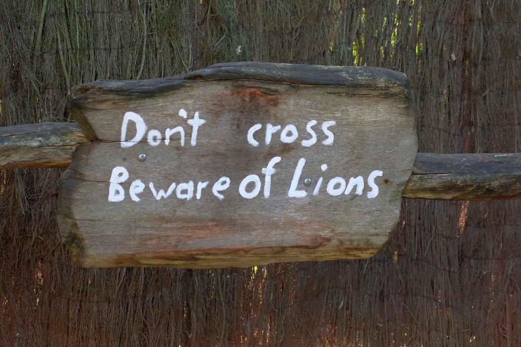 Vorsicht Löwen