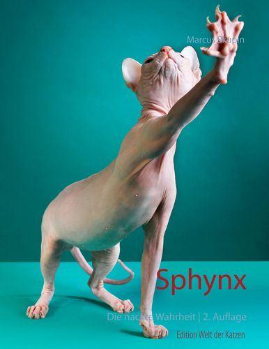 Sphynx, die nackte Wahrheit