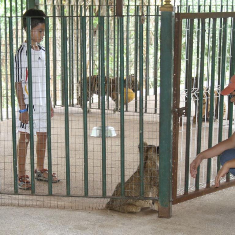 Mexikanischer Zoo