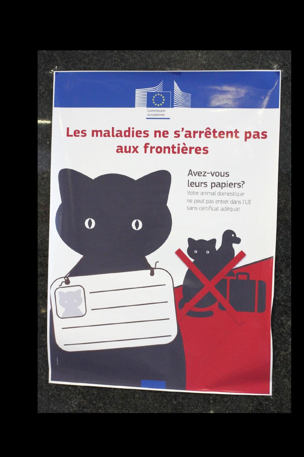 EU-Pass